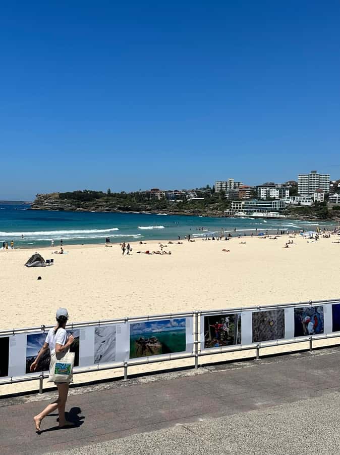 Sydney: Private Half or Full-Day Sightseeing Tour - Watsons Bay and Rose Bay, where the harbour views get dramatic