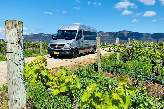 Sydney: PRIVATE Hunter Valley Wine Tasting Luxe Tour (10h) - Price and value: what you’re really paying for
