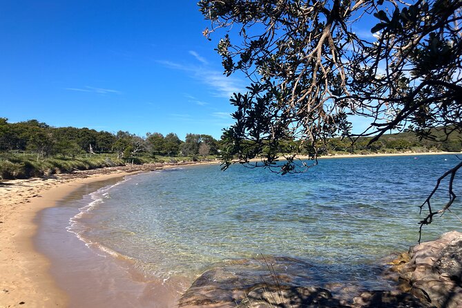 Sydney Private Tour Inc The Royal National Park and Symbio Zoo - Sea Cliff Bridge walk and the coastline snap you will keep