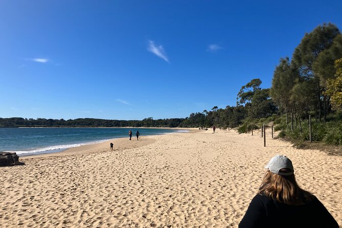 Sydney Private Tour Inc The Royal National Park and Symbio Zoo - Who this tour suits best
