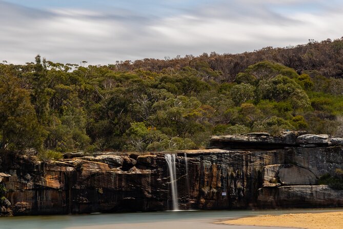 Sydney: Royal National Park Day Trip with Picnic and Swim - Entering Royal National Park, one step at a time