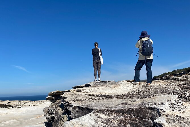 Sydney: Royal National Park Day Trip with Picnic and Swim - Symbio Wildlife Park optional add-on for koala-and-kangaroo time