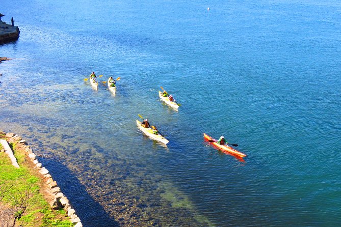 Sydney's Middle Harbour Sea Kayaking Eco Tour (Fully Guided) - Garigal National Park on a Sea Kayak Morning