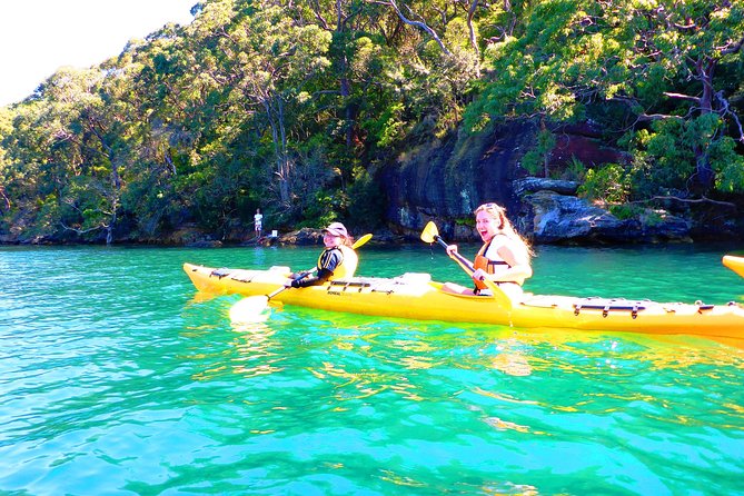 Sydney's Middle Harbour Sea Kayaking Eco Tour (Fully Guided) - Wildlife, Ecosystems, and the Guide’s On-Water Stories