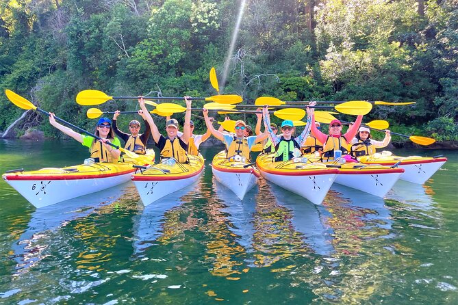 Sydney's Middle Harbour Sea Kayaking Eco Tour (Fully Guided) - The Mid-Paddle Morning Tea Stop (Why It Feels Worth It)