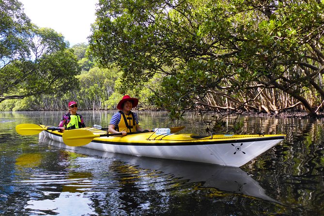 Sydney's Middle Harbour Sea Kayaking Eco Tour (Fully Guided) - Who This Tour Suits Best (and Who Might Think Twice)