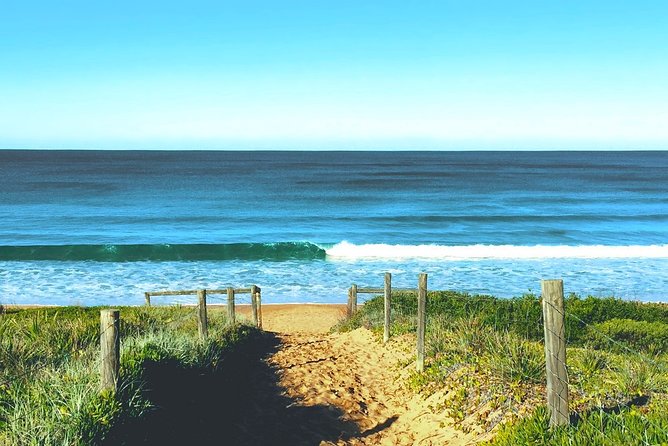 Sydney's Northern Beaches & Ku-ring-gai National Park Small Tour departing Manly - Ku-ring-gai Chase National Park walk, Aboriginal context you can actually hear