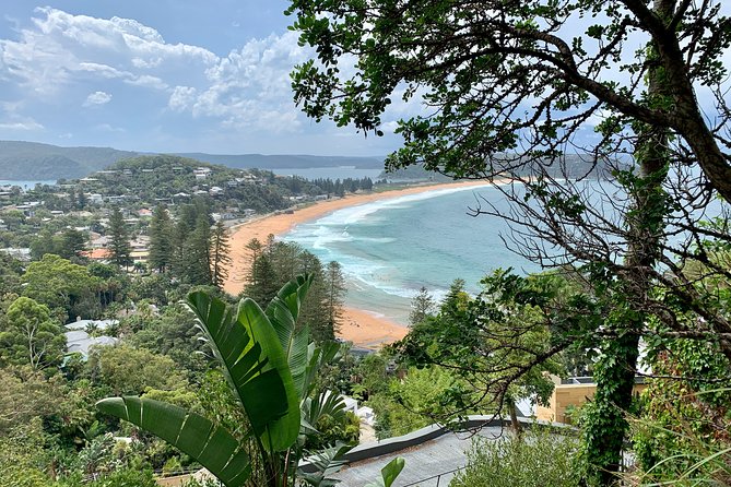 Sydney's Northern Beaches & Ku-ring-gai National Park Small Tour departing Manly - Palm Beach filming locations and beach glamour with real breathing room