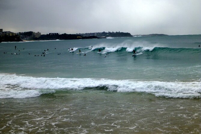 Sydney's Northern Beaches - Paradise in a city - Sydney’s Northern Beaches: a city day that feels like a nature escape