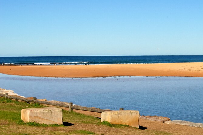 Sydney's Northern Beaches - Paradise in a city - What you might see when: lizards, pelicans, and wildlife timing
