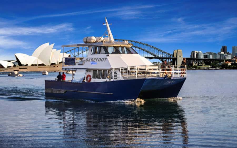 Sydney: Scenic Whale Watching Cruise - Whales Guaranteed - How the crew captures the moment (and sends it to you)