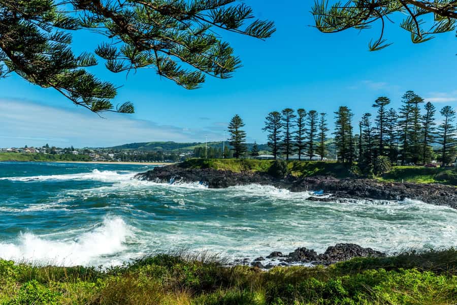 Sydney: Sea Cliff Bridge, Kiama Blowhole and Farmlands Tour - Lunch and Aussie snacks: more than fuel, it keeps the mood right