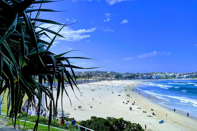 Sydney Secrets and Bondi Beach 4 HOUR AFTERNOON PRIVATE TOUR - Bondi Beach and the waterline: where the tour becomes real fun