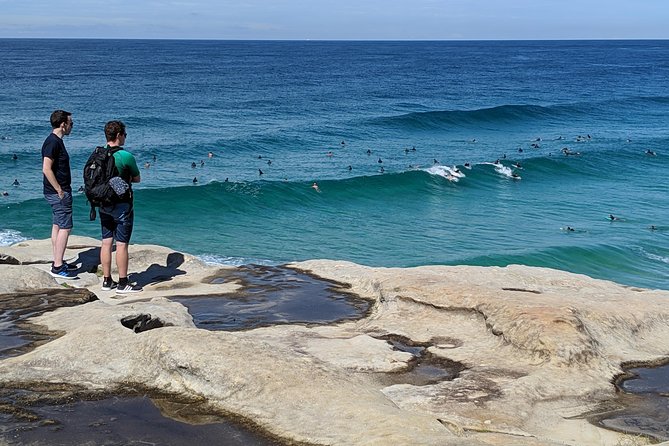 Sydney Secrets and Bondi Beach 4 HOUR MORNING PRIVATE TOUR - Harbour nature side stops: Shark Beach, Gap Park, Macquarie Lighthouse