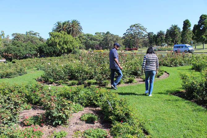 Sydney Shore Excursion: Half-Day Sydney City Highlights and Manly - Key highlights to know before you go