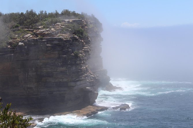 Sydney Shore Excursion: Half-Day Sydney City Highlights and Manly - Price and value: what $100.41 buys you