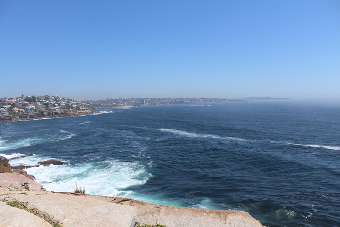 Sydney Shore Excursion: Half-Day Sydney City Highlights with Bondi Beach and Watsons Bay - Why this half-day Sydney loop works for cruise visitors
