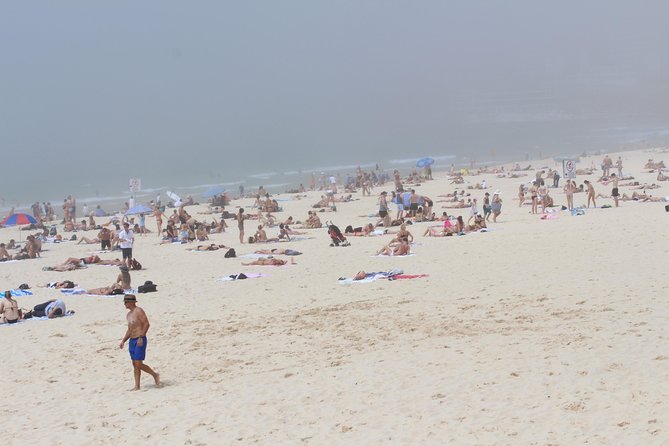 Sydney Shore Excursion: Half-Day Sydney City Highlights with Bondi Beach and Watsons Bay - Bondi Beach: the iconic stop where surfers do the entertainment