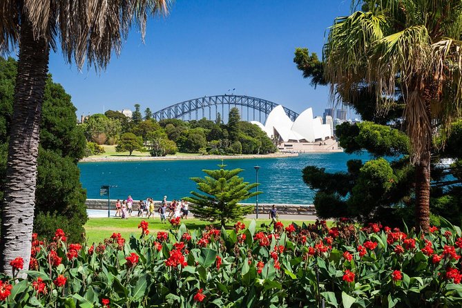 Sydney Shore Excursion | Luxury Private 6 Hr Tour | Departs from Cruise Terminal - Harbour Bridge, Mrs Macquarie’s Chair, and Opera House Viewpoints