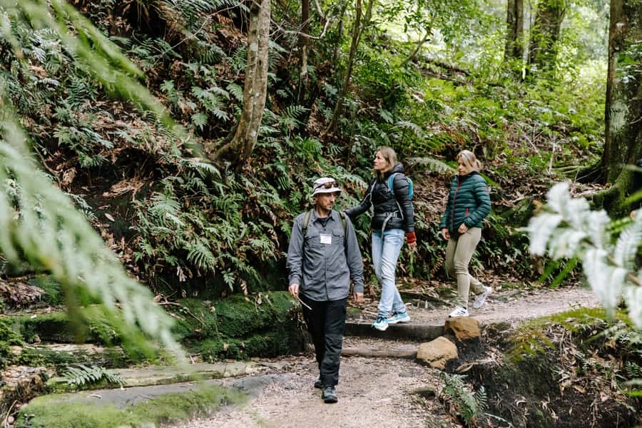Sydney: Small Group Blue Mountains, Wildlife & Waterfalls - Key highlights to care about before you go