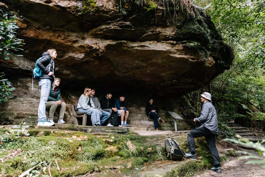 Sydney: Small Group Blue Mountains, Wildlife & Waterfalls - Price and what you truly get for $126