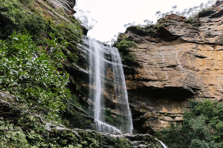 Sydney: Small Group Blue Mountains, Wildlife & Waterfalls - Morning start in Sydney, then straight to Featherdale