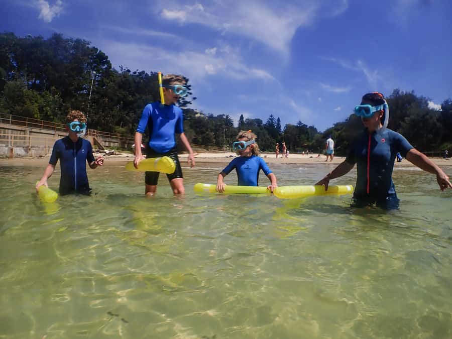 Sydney: Snorkeling Tour for Kids with Private Guide - Key Things I’d Prioritize Before You Go