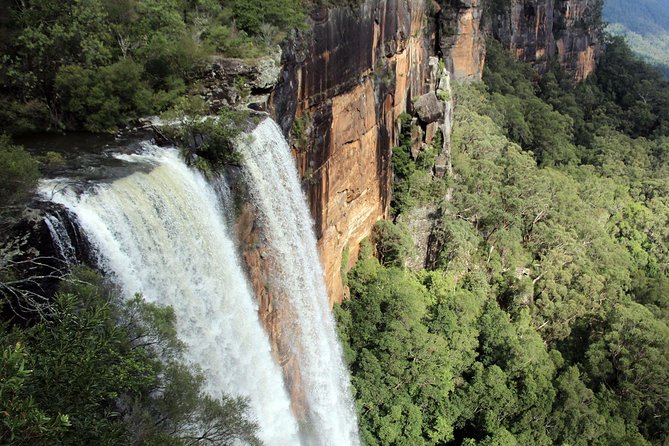 Sydney South Coast to Country Private Tour | Grand Pacific Drive - Sea Cliff Bridge: A Short Walk With Big View Payoff