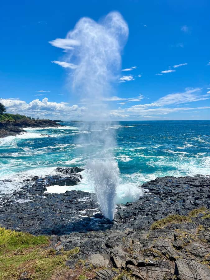 Sydney: Southern Highlands and South Coast Private Tour - Kiama blowhole: a natural water show that changes every time