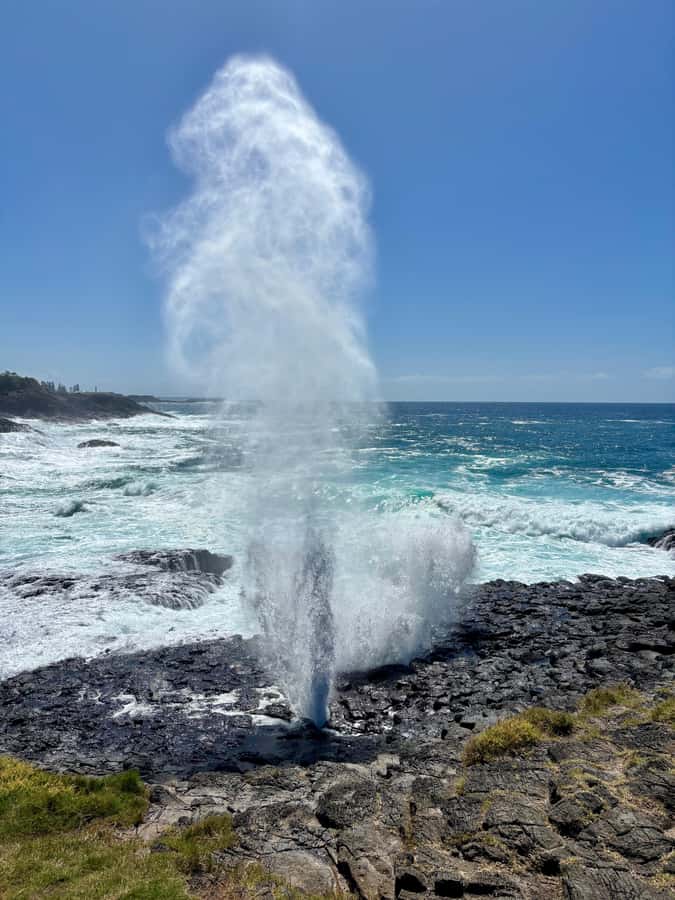 Sydney: Southern Highlands and South Coast Private Tour - Winery in the lush countryside, plus boutique produce browsing