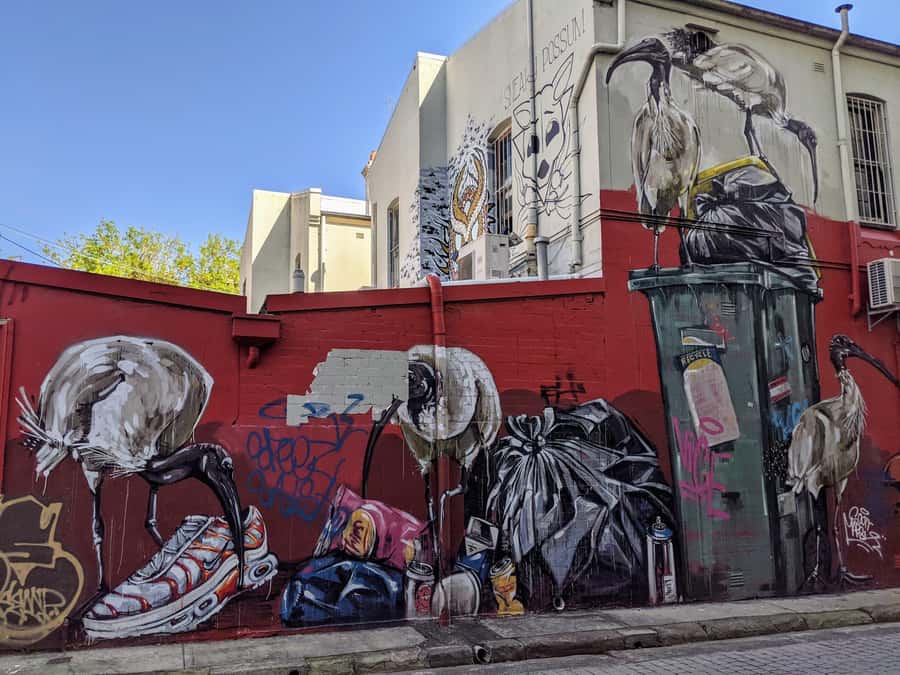 Sydney: Street Art & Small Bar Tour with Complimentary Drink - Price and What You’re Actually Buying for $46 AUD