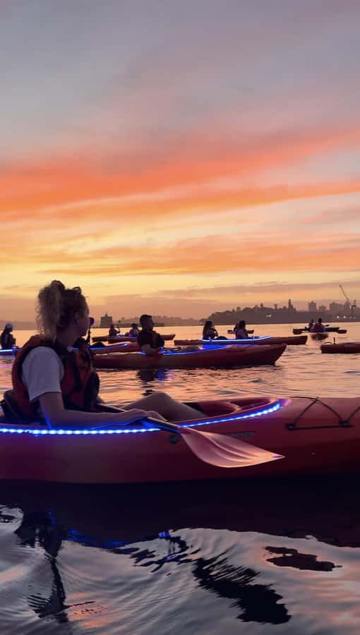Sydney: Sunrise Kayak, Opera House & Under Harbour Bridge - Paddling the harbor at dawn: Opera House views and dolphin spotting