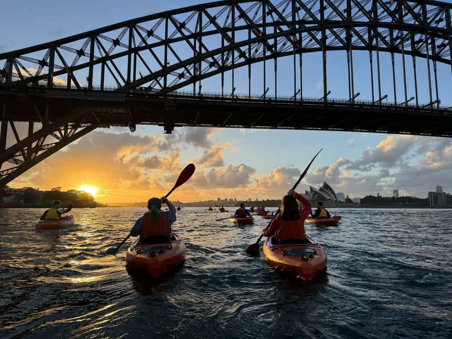 Sydney: Sunrise Kayak, Opera House & Under Harbour Bridge - The long finish: breakfast, coffee, and a calm wrap-up on the water