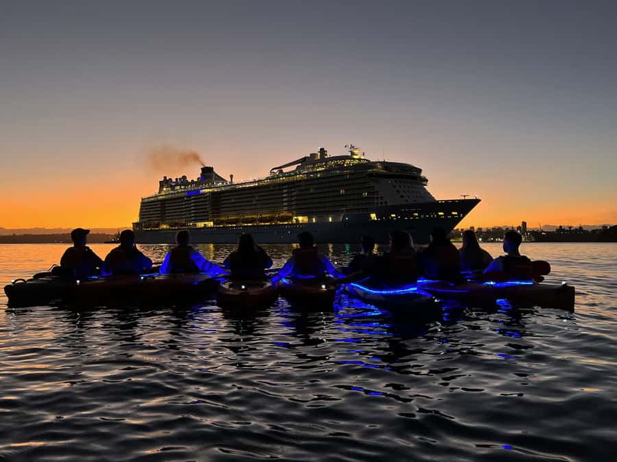 Sydney: Sunrise Kayak, Opera House & Under Harbour Bridge - Price and value check: is $126 a fair deal?
