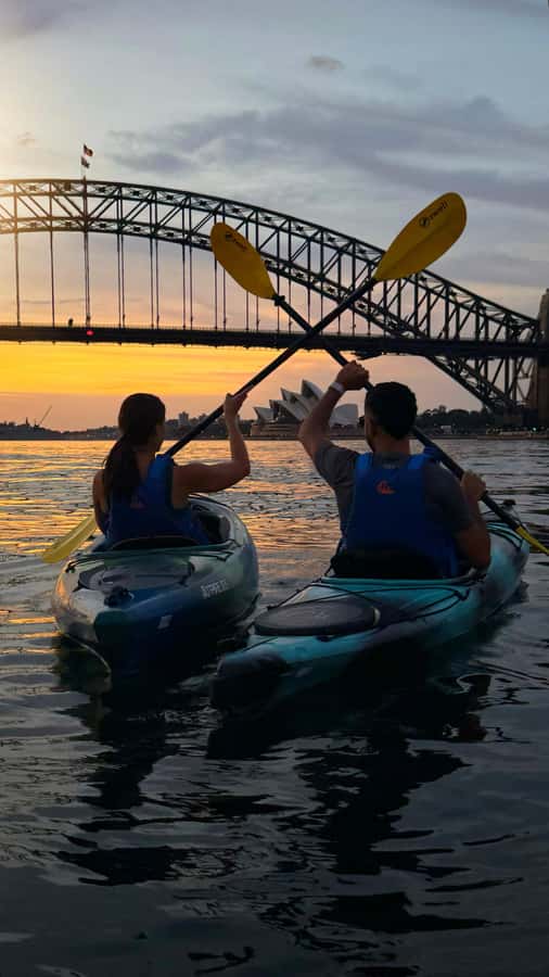 Sydney Sunrise Kayak Tour on Sydney Harbour - Key things that make this Sydney sunrise kayak tour worth your time