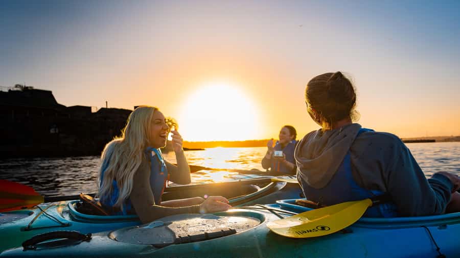 Sydney Sunrise Kayak Tour on Sydney Harbour - Under the Sydney Harbour Bridge, where the scale really hits you