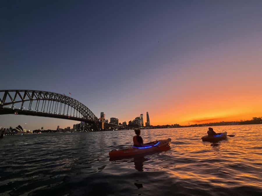 Sydney: Sunset Kayak Tour on Sydney Harbour - Where you meet, and how the tour starts at Lavender Bay