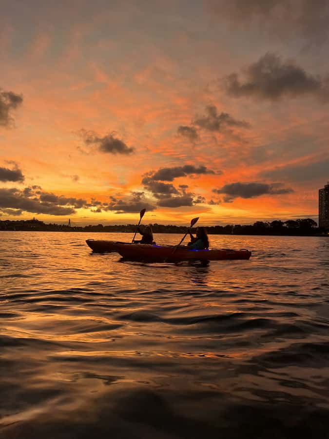 Sydney: Sunset Kayak Tour on Sydney Harbour - Price and value: what $105 buys you on Sydney Harbour