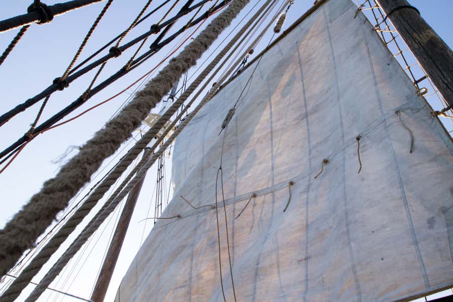 Sydney: Tall Ship Harbour Twilight Dinner Cruise - Practical tips for a smoother evening on deck