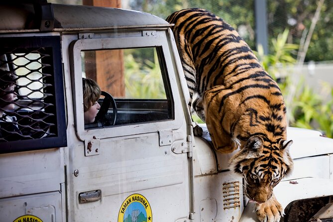 Sydney Taronga Zoo General Entry Ticket - How to plan your 3 to 6 hours once you’re inside