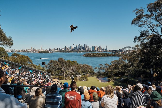 Sydney Taronga Zoo General Entry Ticket - Free-Flight Bird Presentation: a highlight that changes your perspective fast