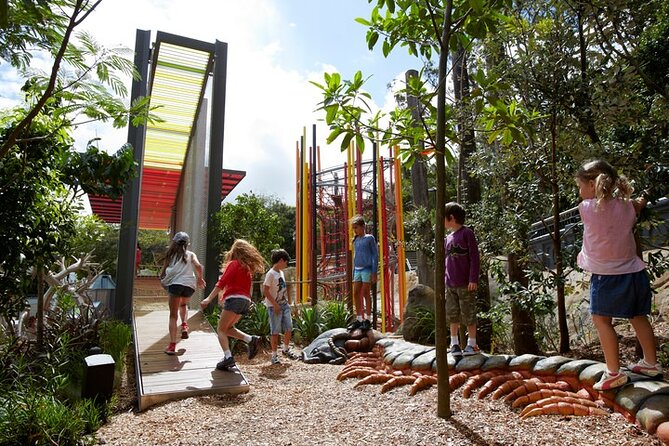 Sydney Taronga Zoo General Entry Ticket - Limited keeper talks: small, helpful, and worth timing around
