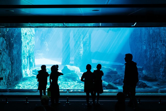 Sydney Taronga Zoo Wild Australia Experience - The rest of the day: all-day access plus Harbourview Cafe views