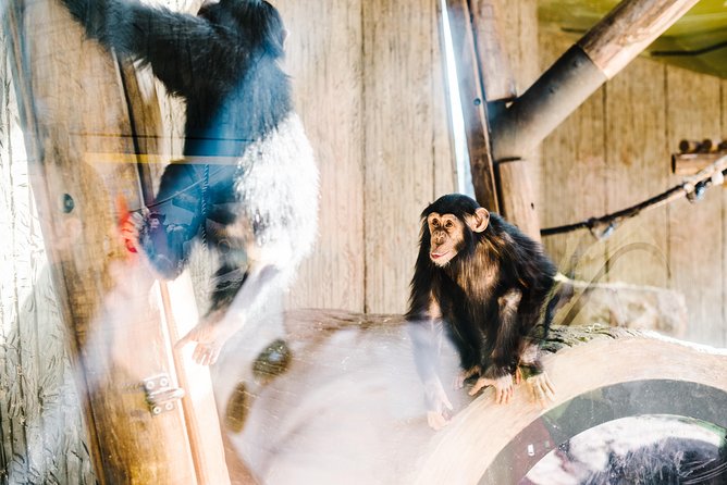 Sydney Taronga Zoo Wild Australia Experience - Price and value: is $129.10 per person worth it?