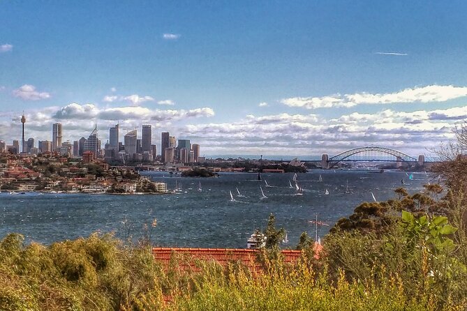 Sydney, The Rocks, Watsons Bay, Bondi Beach FULL DAY PRIVATE TOUR - Bronte Beach, Centennial Park bats, and the city edges around Paddington