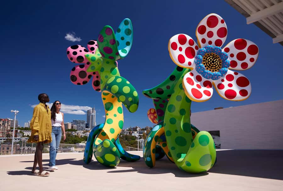 Sydney: Tickets & Tours at Art Gallery of New South Wales - Picking the right option: tour, Ron Mueck entry, or the 2-exhibition Art Pass