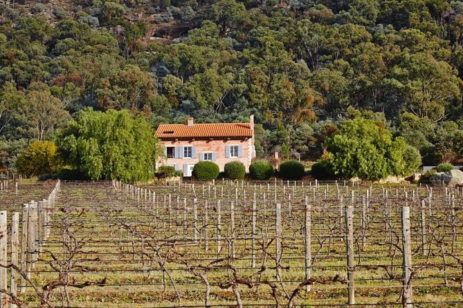 Sydney to Hunter Valley Wine Tour | Gin, Lunch, Chocolatier Visit - Artisan chocolatier stop and the gin option