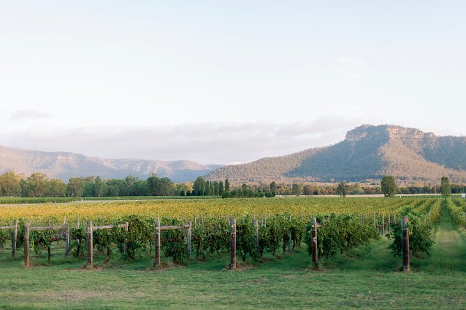 Sydney to Hunter Valley Wine Tour | Gin, Lunch, Chocolatier Visit - Krinklewood Estate: Provençal gardens and a tasting at human speed