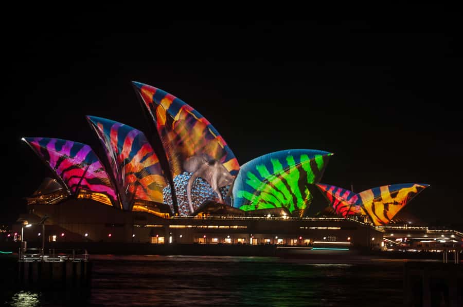 Sydney: Vivid Festival of Light Harbor Cruise with Dinner - Boarding at King Street Wharf 6, what to watch for