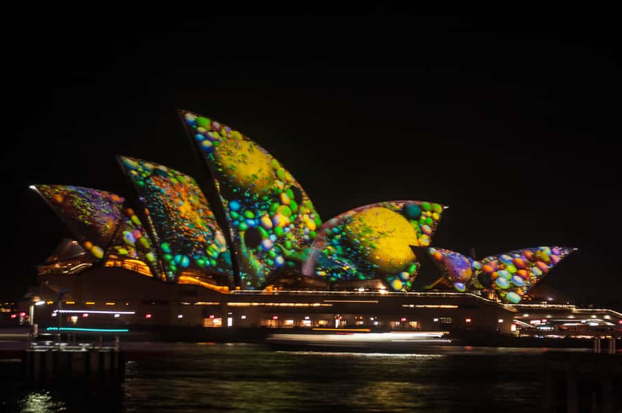 Sydney: Vivid Festival of Light Harbor Cruise with Dinner - Dinner onboard: buffet, welcome drink, and dietary options